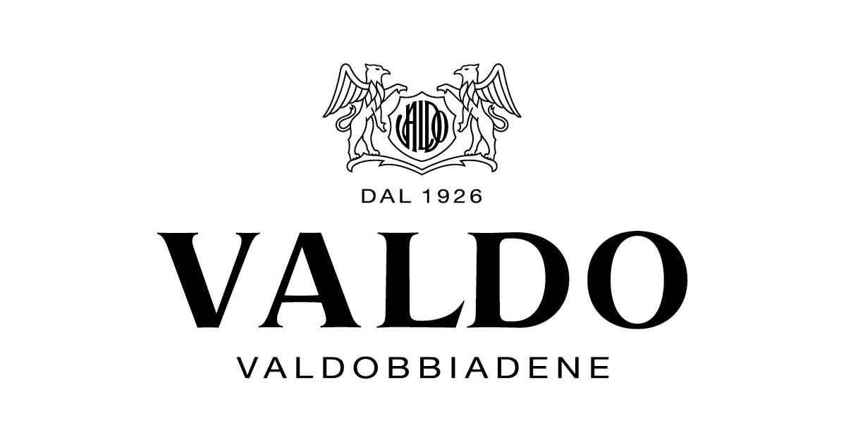 logo_Valdo_1200x628_b5f49832-285f-474c-99a7-6ee1bfd97584_1200x1200